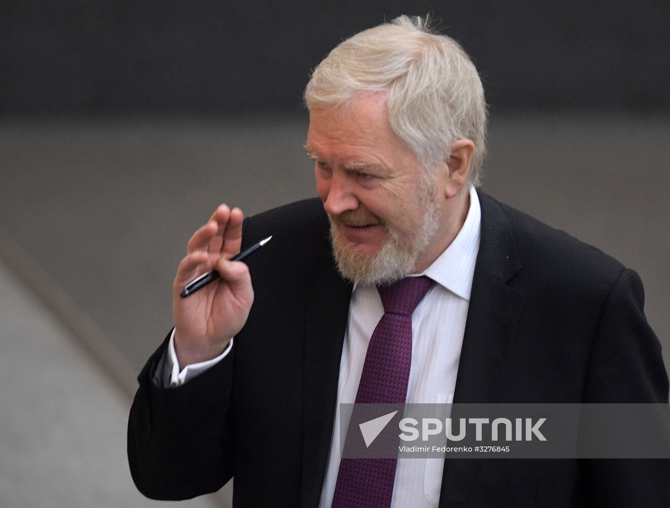 State Duma plenary meeting