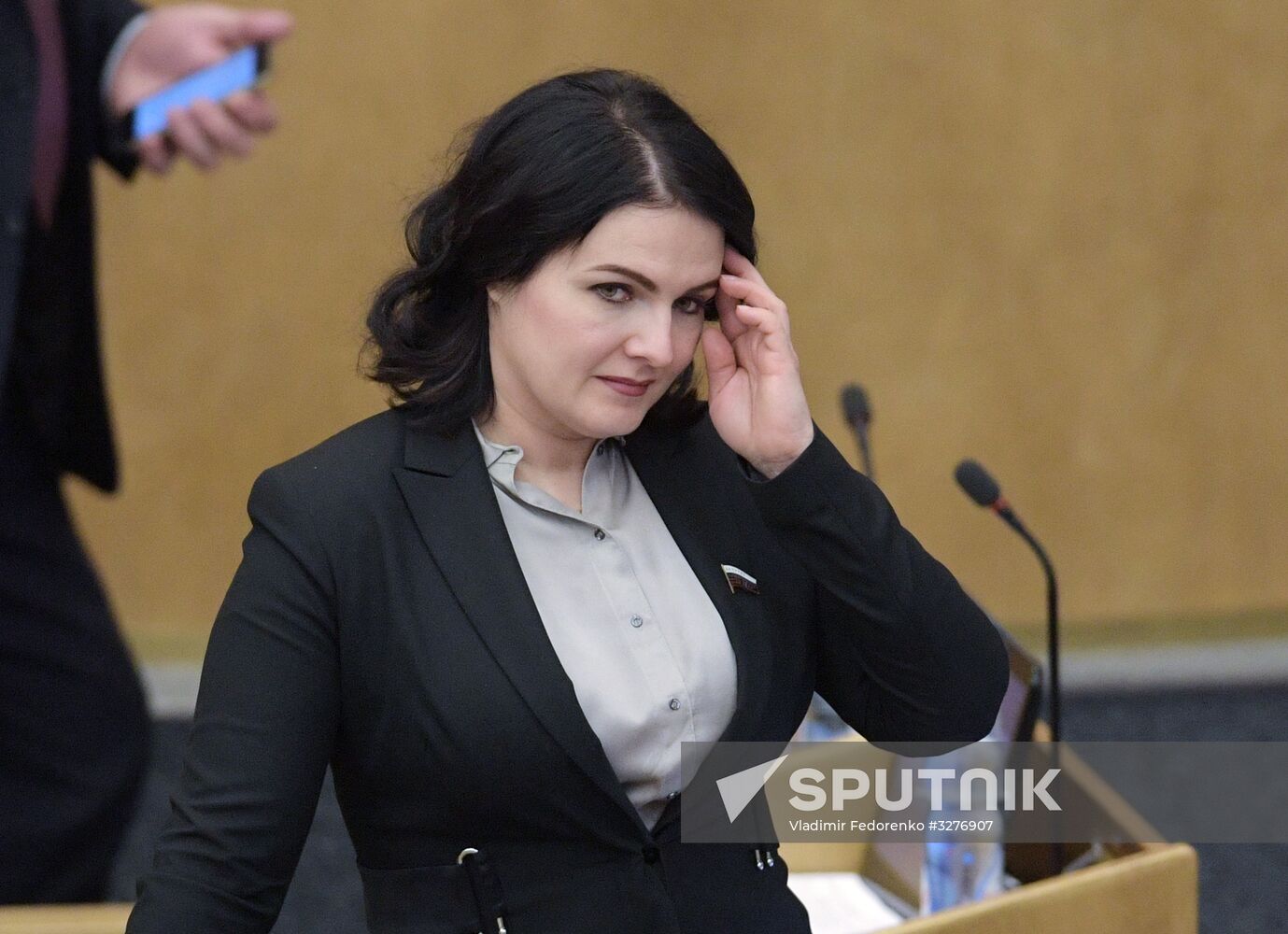 State Duma plenary meeting