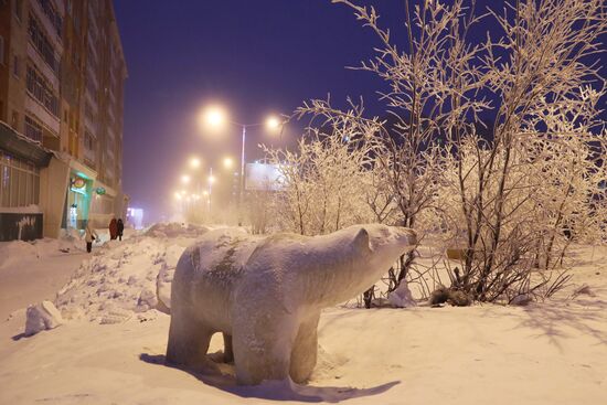 Russian regions hit by extremely cold weather