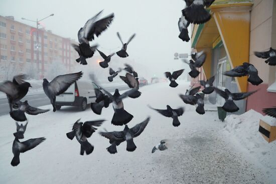 Russian regions hit by extremely cold weather
