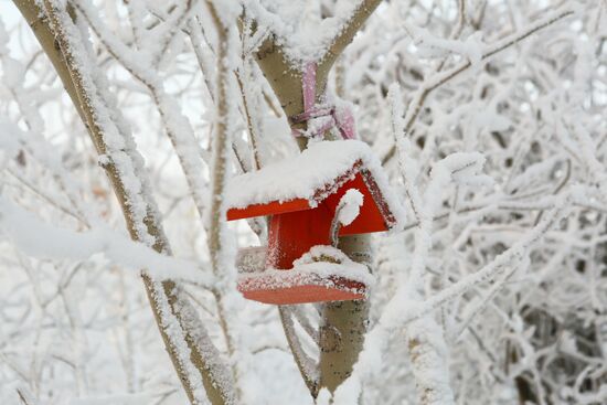 Severe frosts in Russian regions