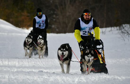 Lagonaki 2018 Alpine sled dog race in Krasnodar Territory