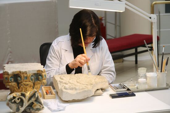 95 Discoveries to Mark Museum's 95th Anniversary event