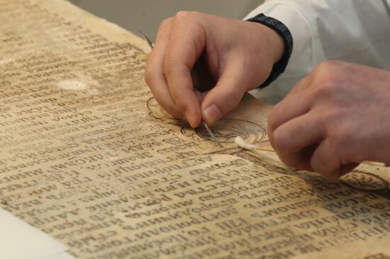 95 Discoveries to Mark Museum's 95th Anniversary event