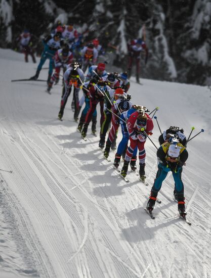 Biathlon World Cup 6. Men's mass start