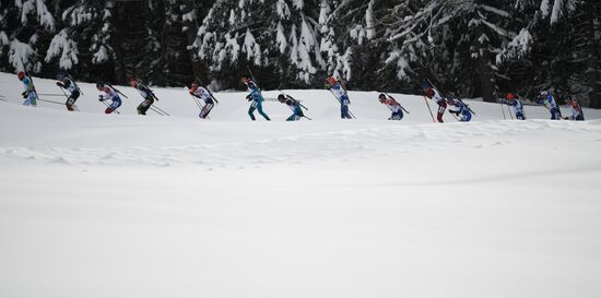 Biathlon World Cup 6. Men's mass start