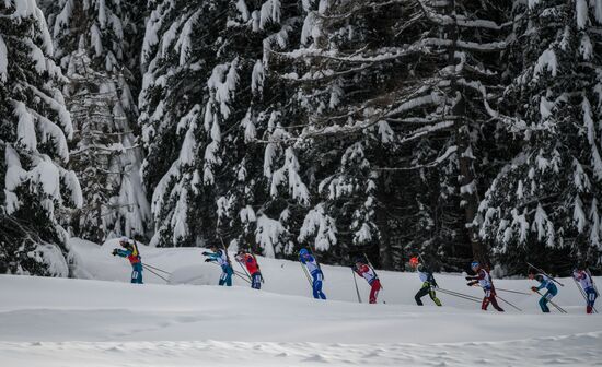 Biathlon World Cup 6. Men's mass start