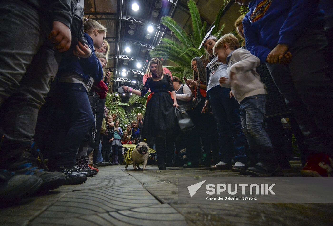 Mopsoyolka Party in Tauride Garden