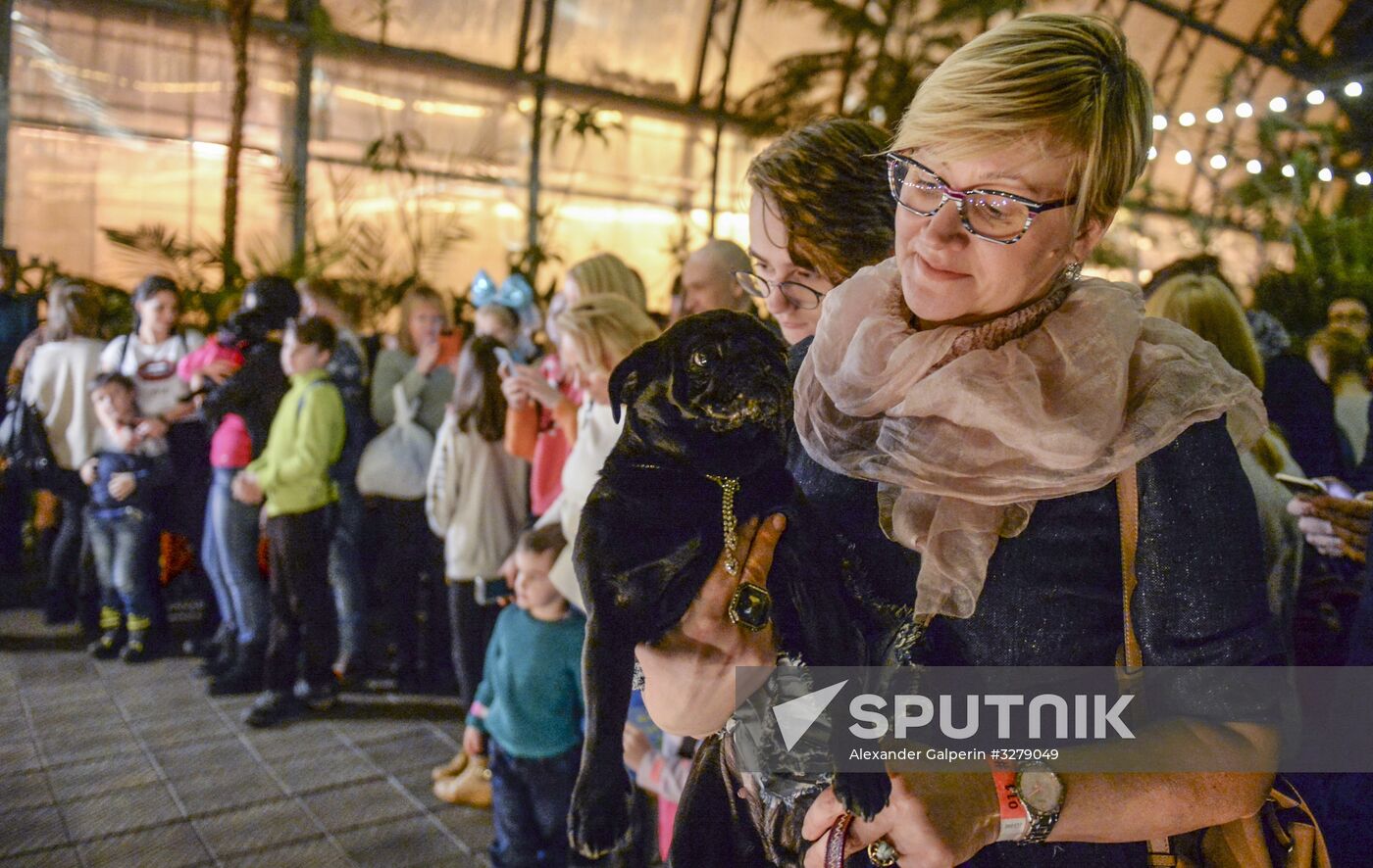 Mopsoyolka Party in Tauride Garden