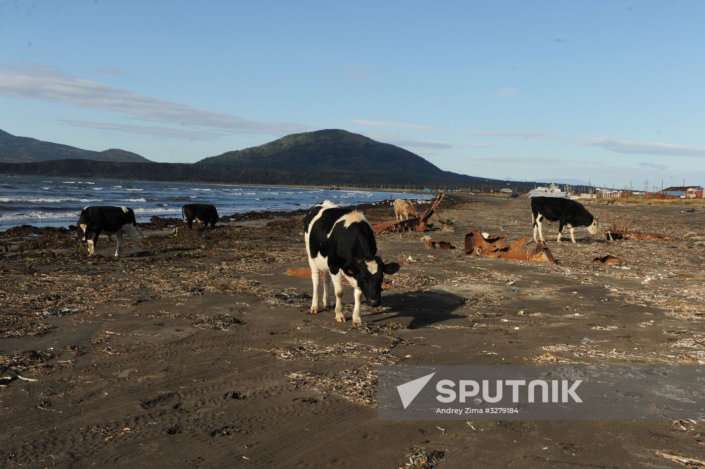 Kunashir Island