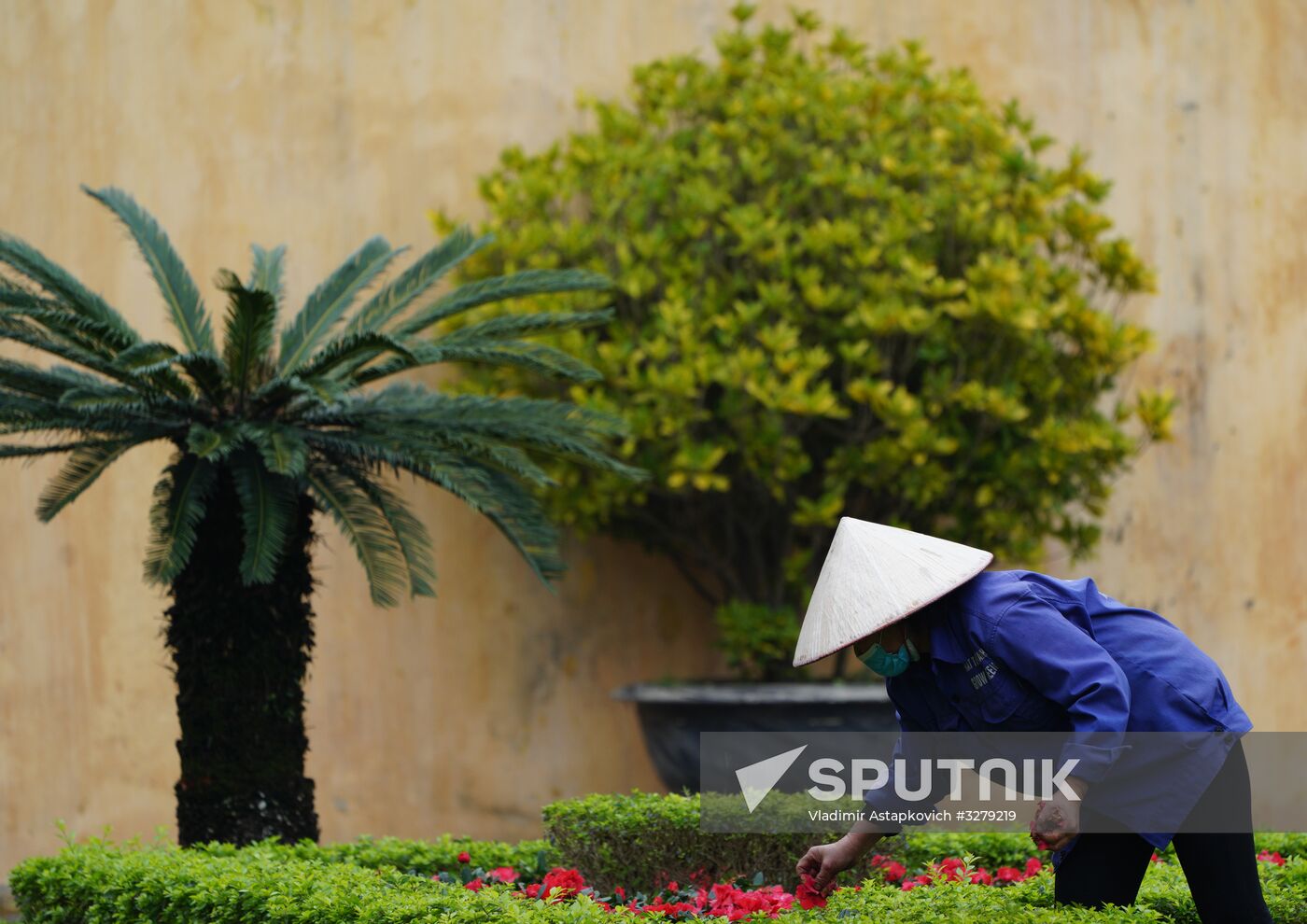 Countries of the world. Vietnam