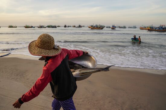 Countries of the world. Vietnam