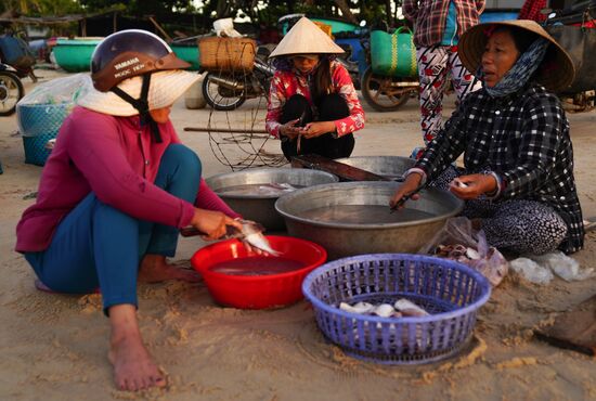 Countries of the world. Vietnam