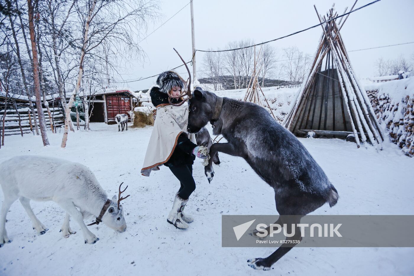 Chigar Saami community in Murmansk Region