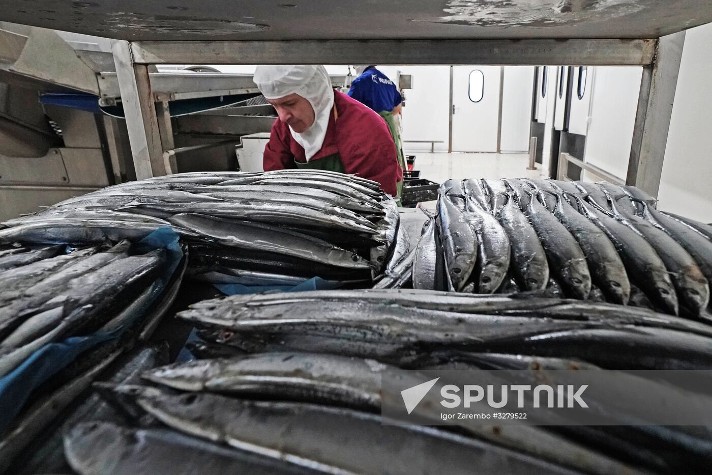 Korat fish processing complex in Kaliningrad Region