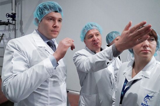 Korat fish processing complex in Kaliningrad Region