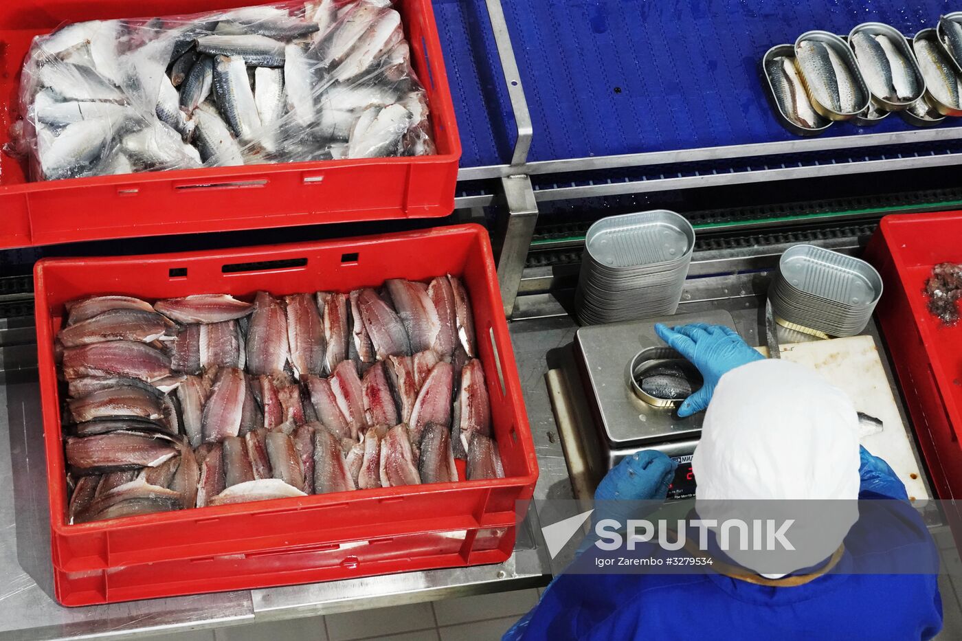 Korat fish processing complex in Kaliningrad Region