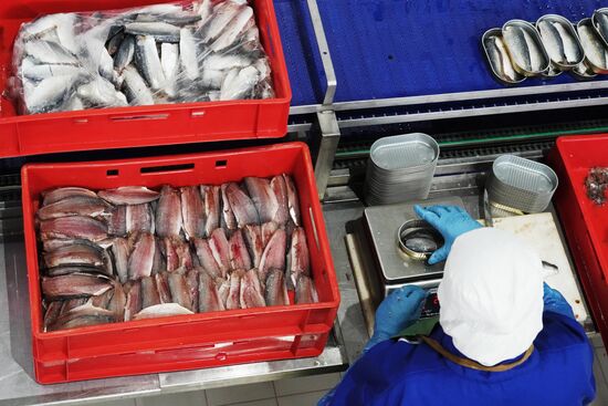 Korat fish processing complex in Kaliningrad Region
