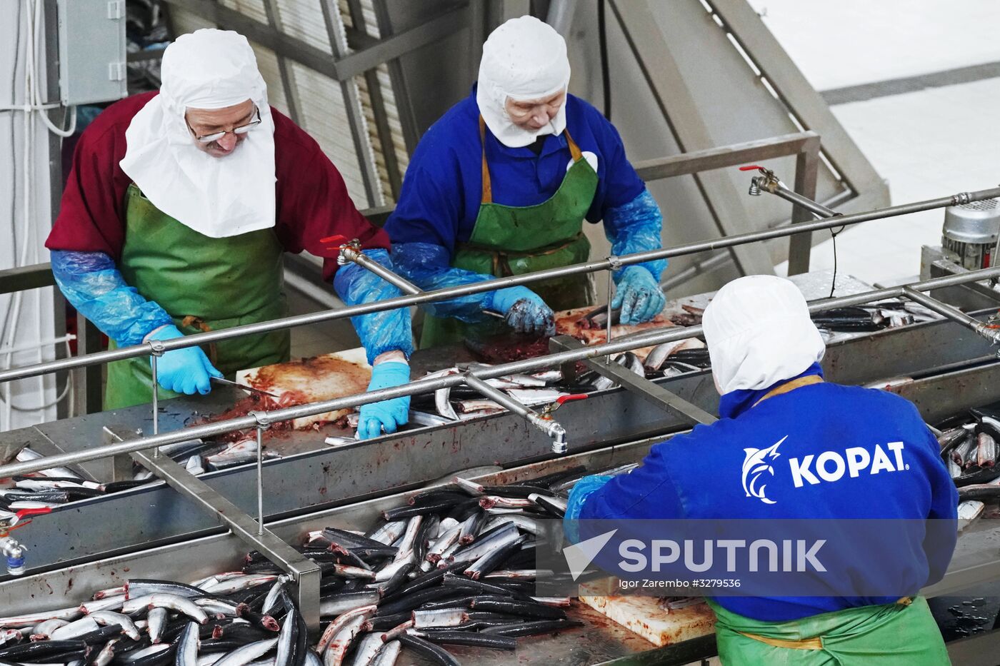 Korat fish processing complex in Kaliningrad Region