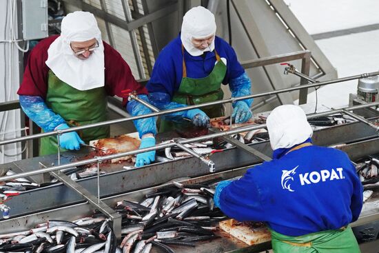 Korat fish processing complex in Kaliningrad Region