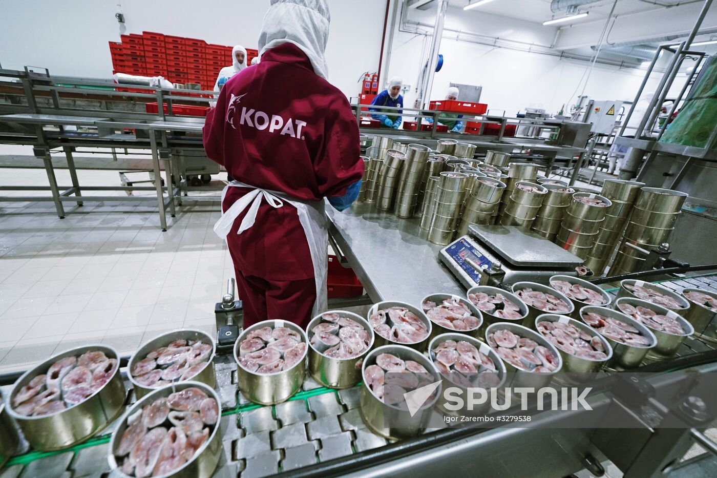 Korat fish processing complex in Kaliningrad Region