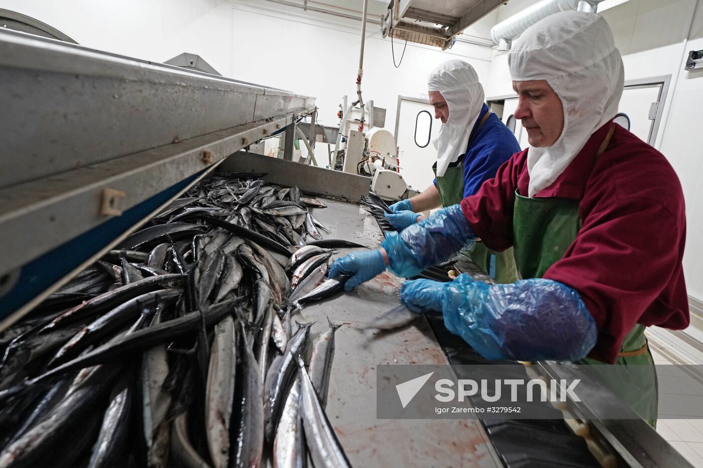 Fish processing complex 'Korat' in the Kaliningrad Region