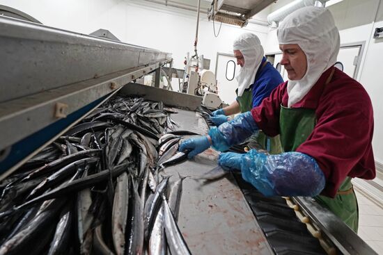 Fish processing complex 'Korat' in the Kaliningrad Region