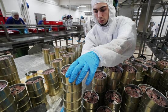 Korat fish processing complex in Kaliningrad Region