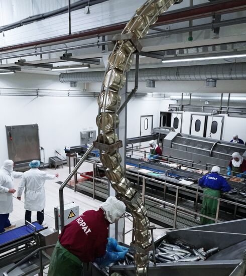 Korat fish processing complex in Kaliningrad Region