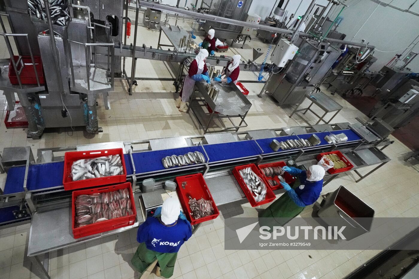 Korat fish processing complex in Kaliningrad Region