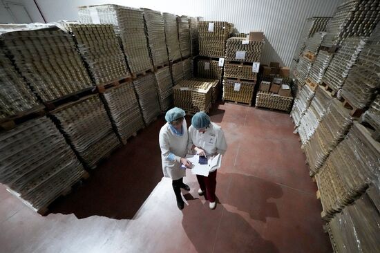 Korat fish processing complex in Kaliningrad Region