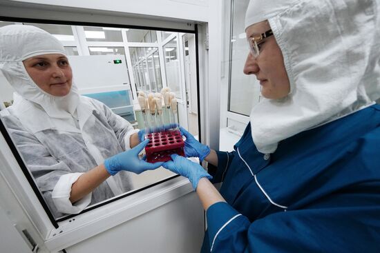 Fish processing complex 'Korat' in the Kaliningrad Region