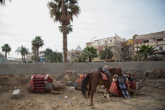 Cities of the world. Cairo