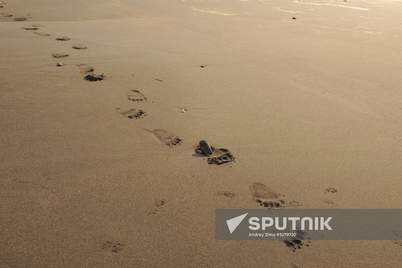 Kurils Nature Reserve