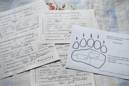 Kurils Nature Reserve