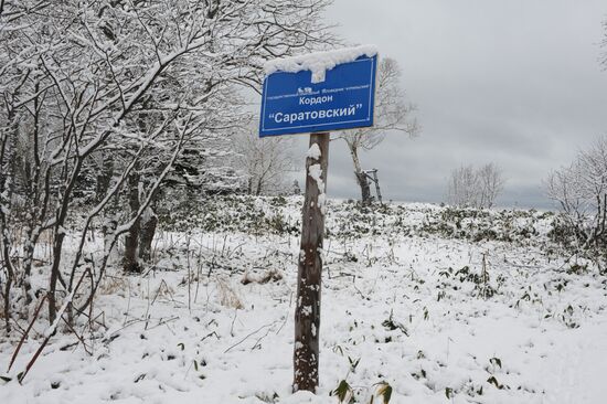 Kurils Nature Reserve