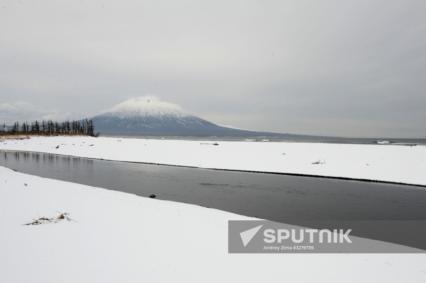 Kurils Nature Reserve