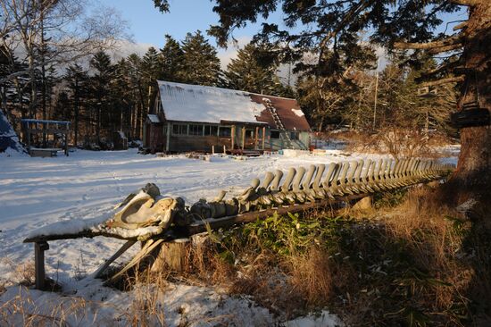 Kurils Nature Reserve