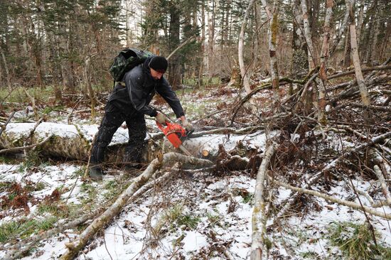 Kurils Nature Reserve