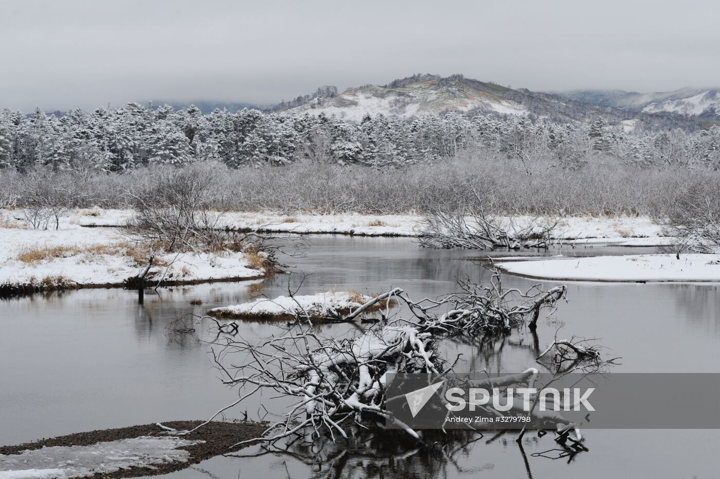Kuril reserve