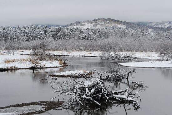 Kuril reserve