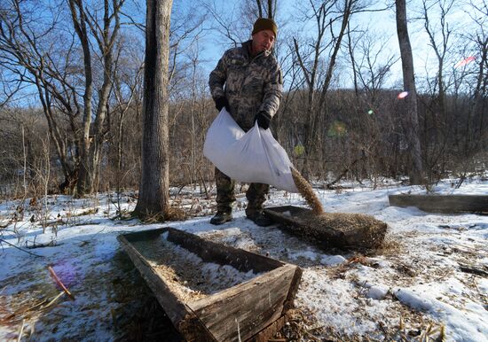 Land of the Leopard National Park
