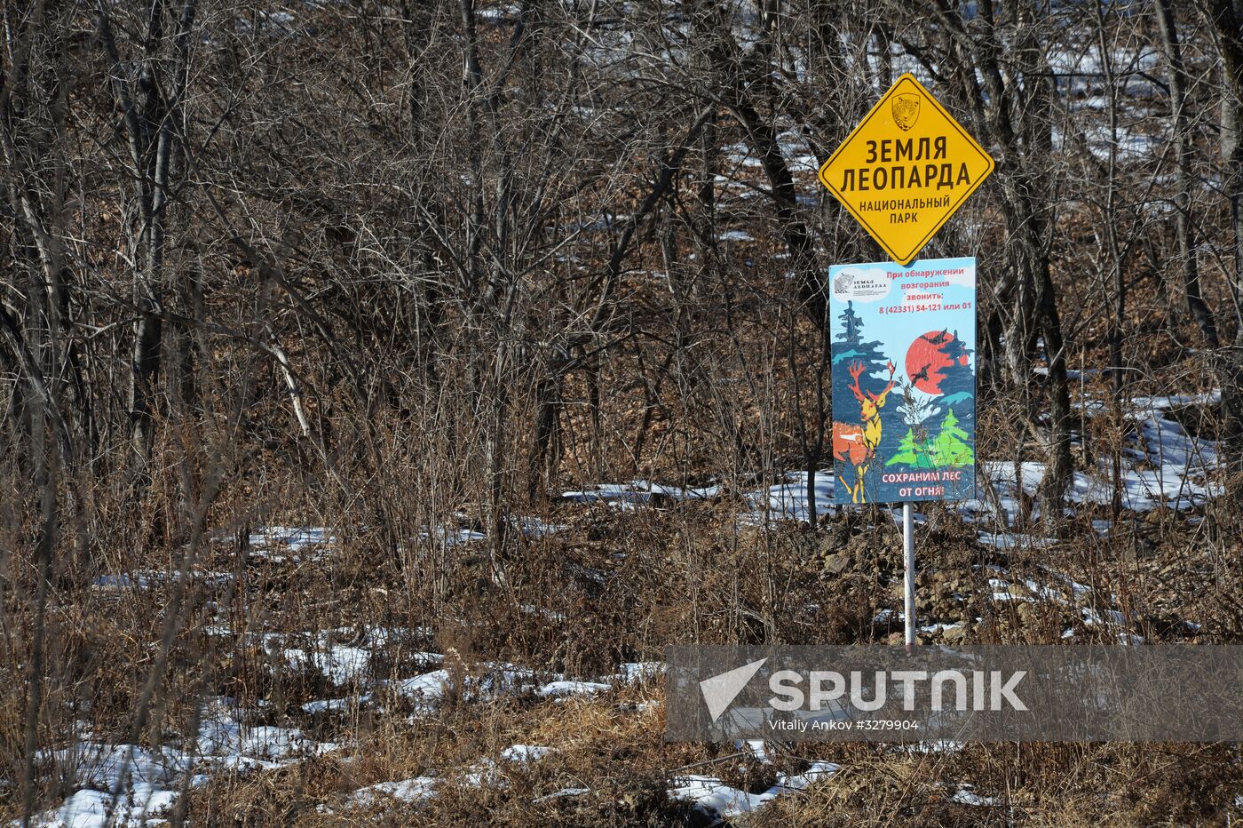 Land of the Leopard National Park