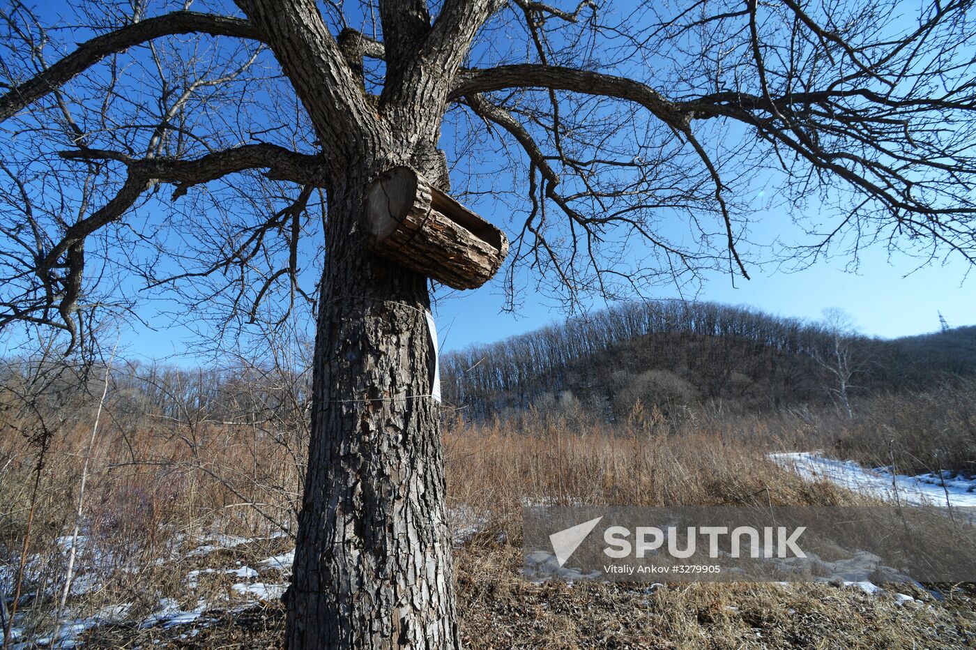 Land of the Leopard National Park