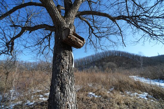Land of the Leopard National Park