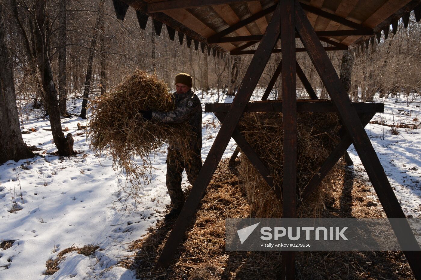 Land of the Leopard National Park