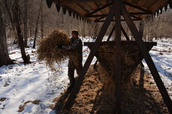 Land of the Leopard National Park