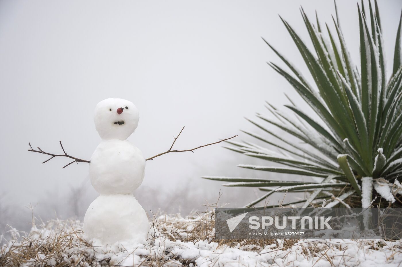 Crimea in winter