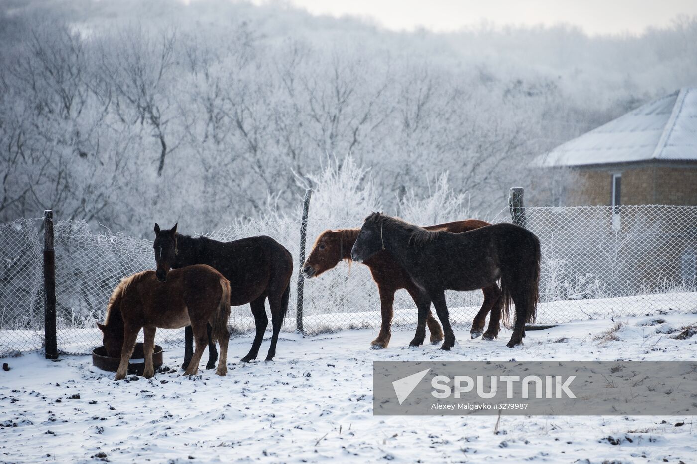 Crimea in winter