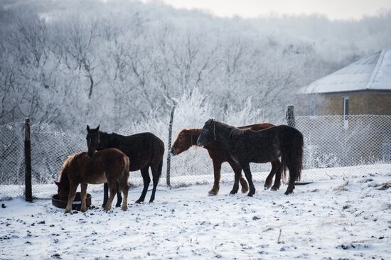 Crimea in winter